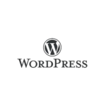 wordpress-seo-custom-web-development-tool